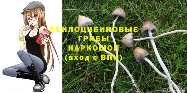 не бодяженный Верхний Тагил